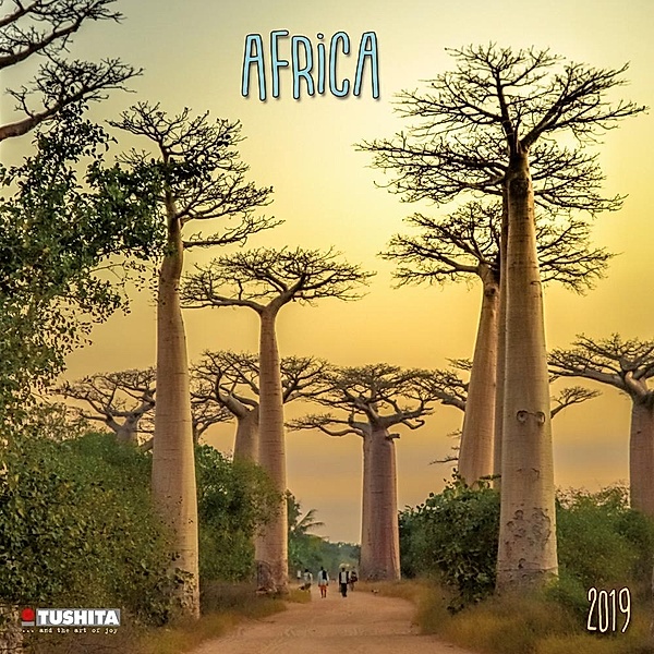 Africa 2019