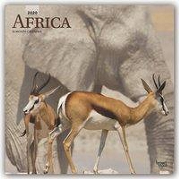 Africa 2020 - 16-Monatskalender, BrownTrout Publisher