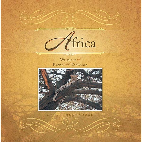 Africa, Mary T McDonough