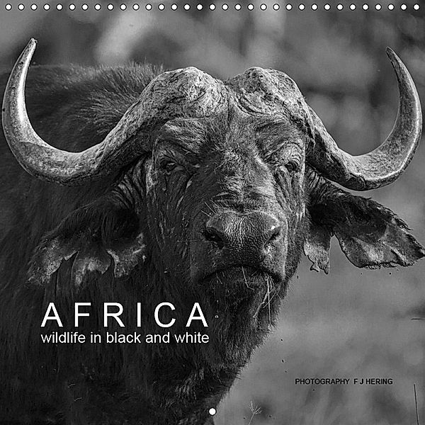 AFRICA wildlife in black and white (Wall Calendar 2019 300 × 300 mm Square), Franz Josef Hering