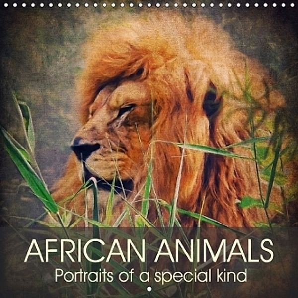 African animals - Portraits of a special kind (Wall Calendar 2017 300 × 300 mm Square), Angela Dölling