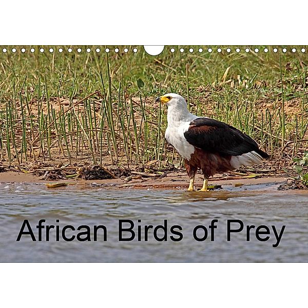 African Birds of Prey (Wall Calendar 2021 DIN A4 Landscape), Doug. McCutcheon