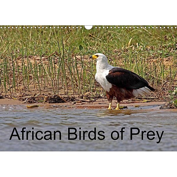 African Birds of Prey (Wall Calendar 2023 DIN A3 Landscape), Doug. McCutcheon