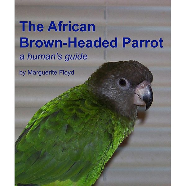 African Brown-Headed Parrot: A Human's Guide, Marguerite Floyd