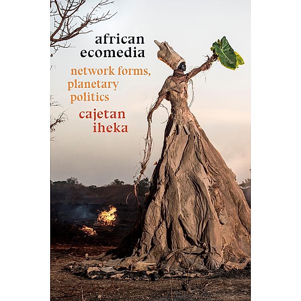 African Ecomedia, Iheka Cajetan Iheka