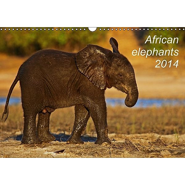 African elephants 2014 (Wandkalender 2014 DIN A3 quer), Wibke Woyke