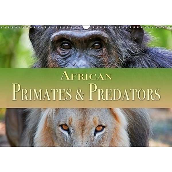 African Primates and Predators (Wall Calendar 2017 DIN A3 Landscape), www.travel4pictures.com