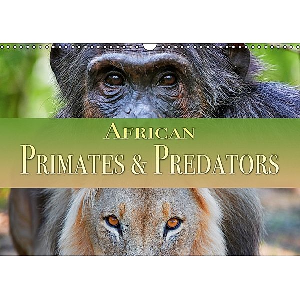 African Primates and Predators (Wall Calendar 2018 DIN A3 Landscape), www.travel4pictures.com