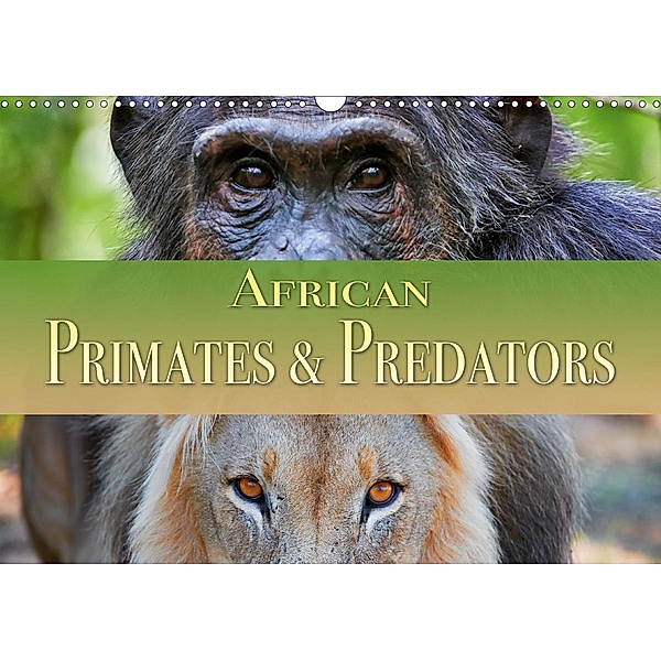 African Primates and Predators (Wall Calendar 2021 DIN A3 Landscape)