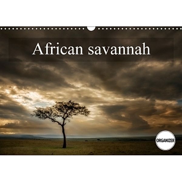 African savanna (Wall Calendar 2017 DIN A3 Landscape), Alain Gaymard