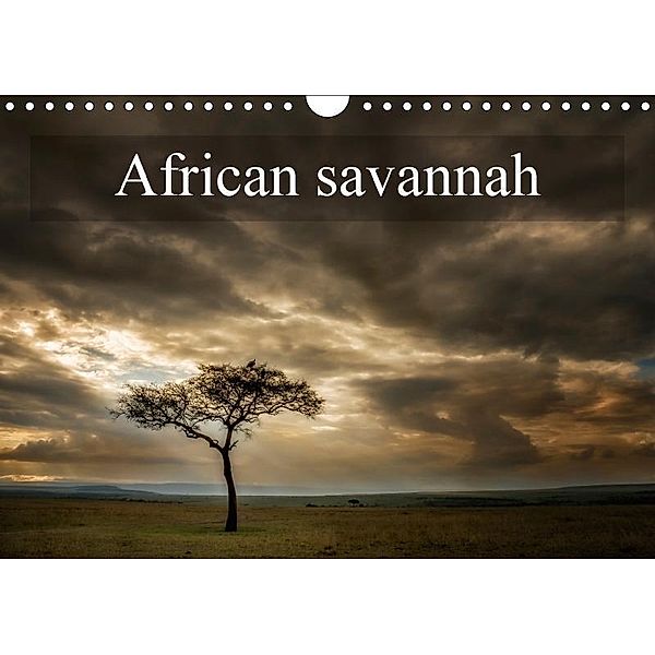 African savannah (Wall Calendar 2017 DIN A4 Landscape), Alain Gaymard