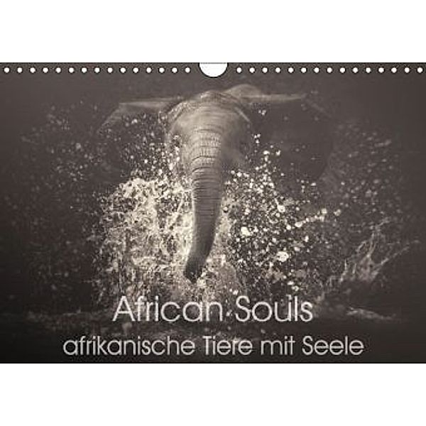 African Souls - afrikanische Tiere mit Seele (Wandkalender 2015 DIN A4 quer), Manuela Kulpa