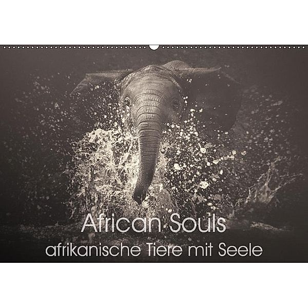 African Souls - afrikanische Tiere mit Seele (Wandkalender 2017 DIN A2 quer), Manuela Kulpa