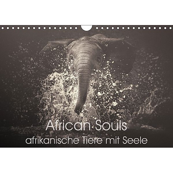 African Souls - afrikanische Tiere mit Seele (Wandkalender 2018 DIN A4 quer), Manuela Kulpa