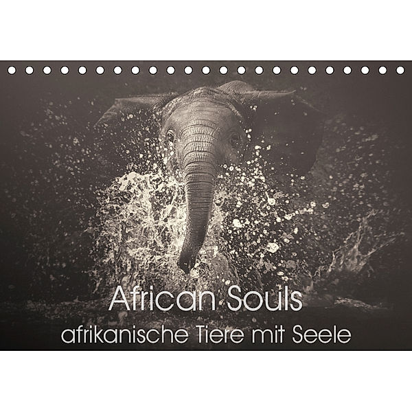 African Souls - afrikanische Tiere mit Seele (Tischkalender 2019 DIN A5 quer), Manuela Kulpa