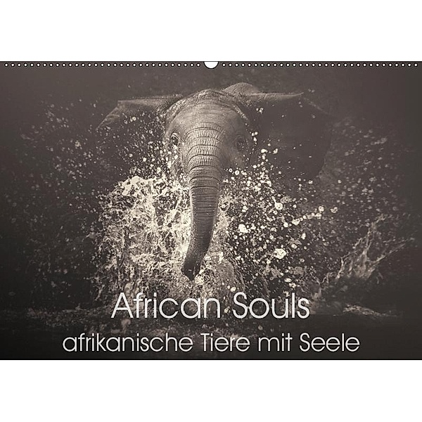 African Souls - afrikanische Tiere mit Seele (Wandkalender 2019 DIN A2 quer), Manuela Kulpa