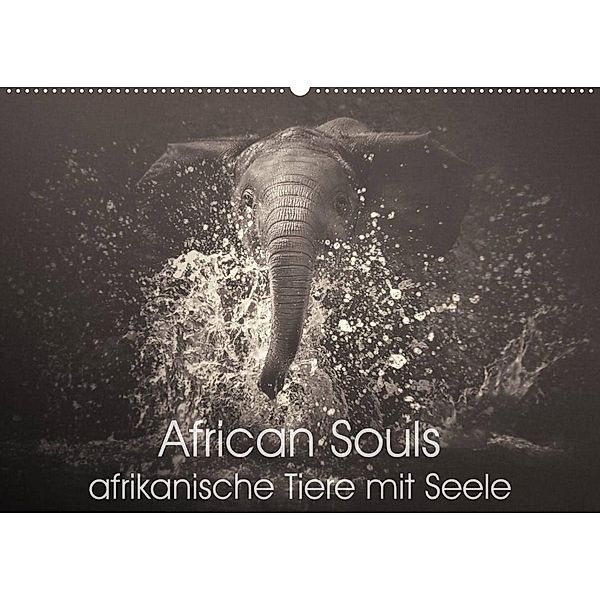 African Souls - afrikanische Tiere mit Seele (Wandkalender 2023 DIN A2 quer), Manuela Kulpa