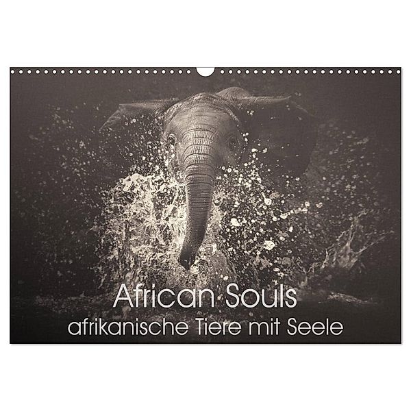 African Souls - afrikanische Tiere mit Seele (Wandkalender 2024 DIN A3 quer), CALVENDO Monatskalender, Manuela Kulpa