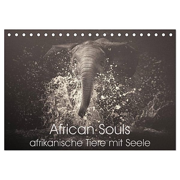 African Souls - afrikanische Tiere mit Seele (Tischkalender 2024 DIN A5 quer), CALVENDO Monatskalender, Manuela Kulpa