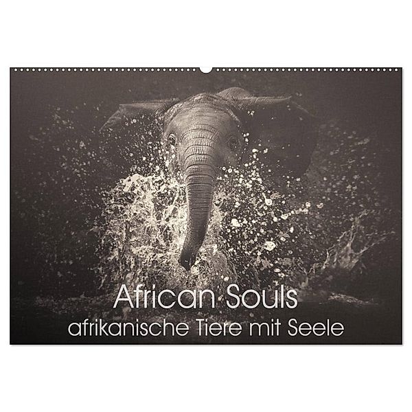 African Souls - afrikanische Tiere mit Seele (Wandkalender 2024 DIN A2 quer), CALVENDO Monatskalender, Manuela Kulpa