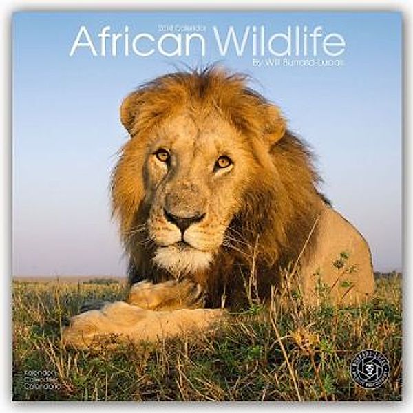 African Wildlife, Avonside Publishing