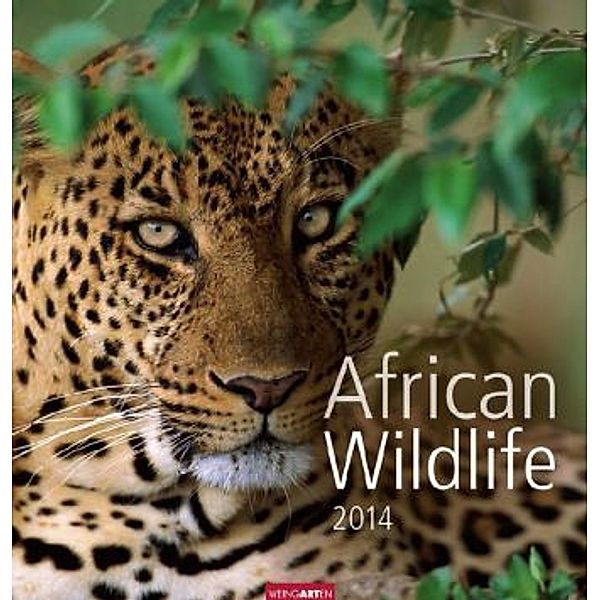 African Wildlife 2014