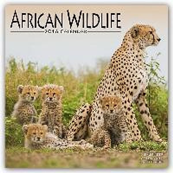 African Wildlife 2016