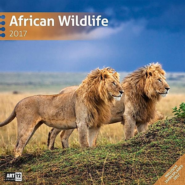 African Wildlife 2017