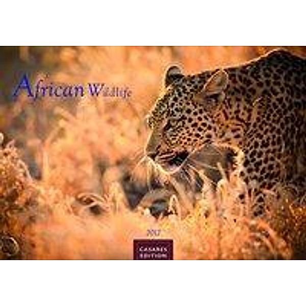 African Wildlife 2017