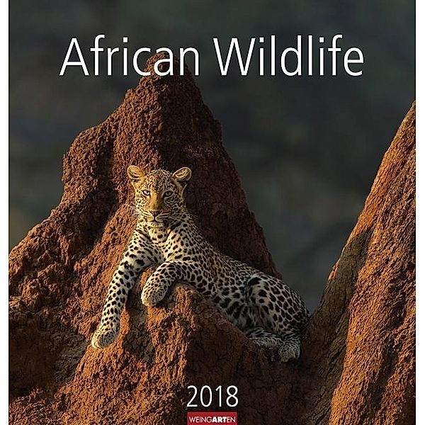 African Wildlife 2018