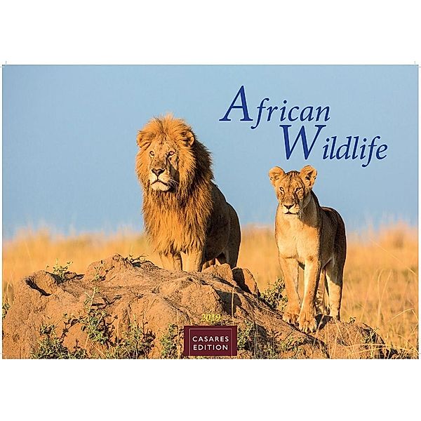 African Wildlife 2019