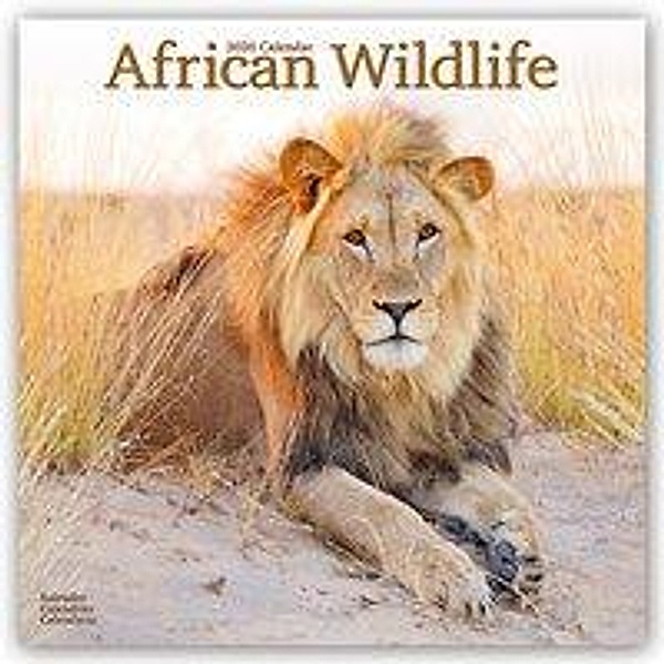 African Wildlife 2020, Avonside Publishing