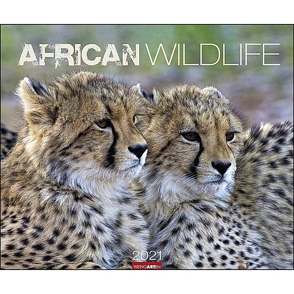 African Wildlife 2020