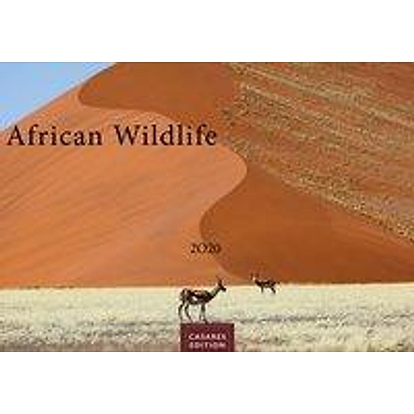 African Wildlife 2020