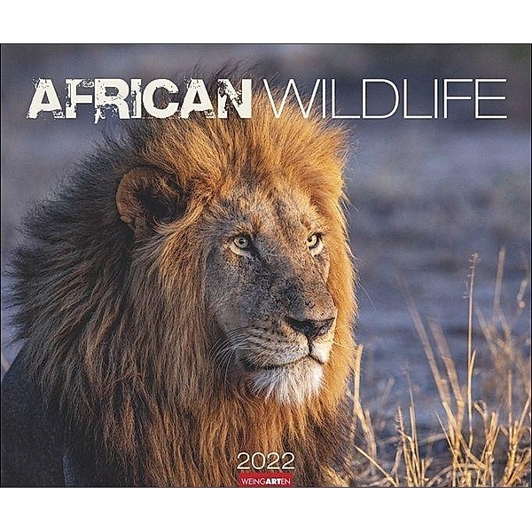 African Wildlife 2022