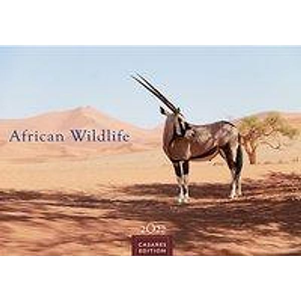 African Wildlife 2022 L