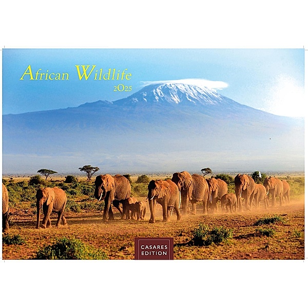 African Wildlife 2025 S 24x35 cm