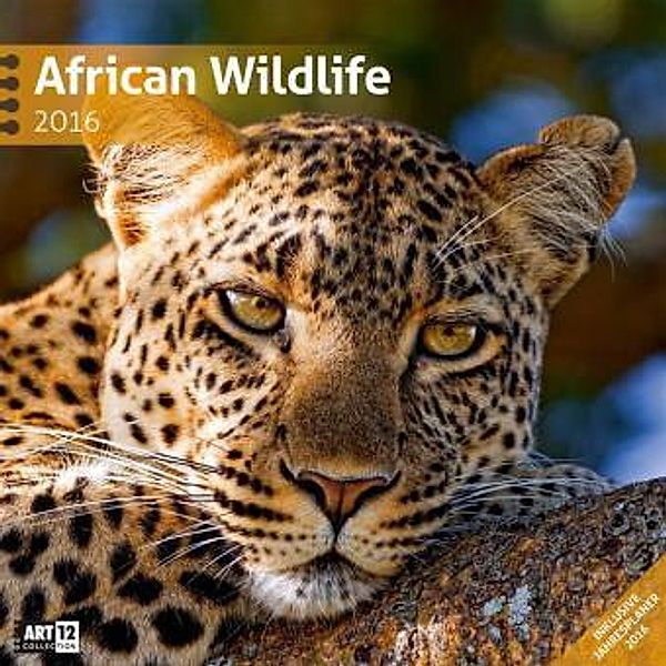 African Wildlife (30 x 30 cm) 2016