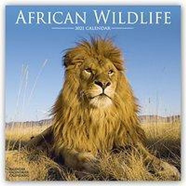 African Wildlife - Afrikanische Tierwelt 2021, Avonside Publishing