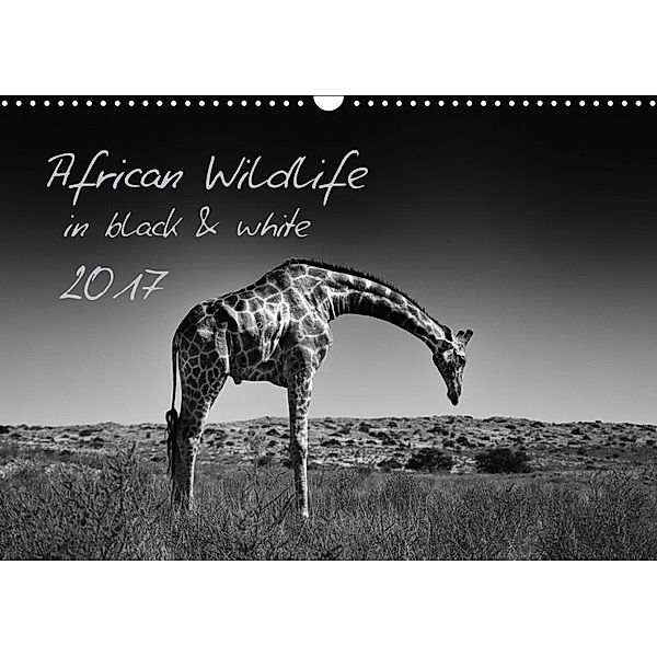 African Wildlife in Black and White / UK-Version (Wall Calendar 2017 DIN A3 Landscape), Kirsten Karius