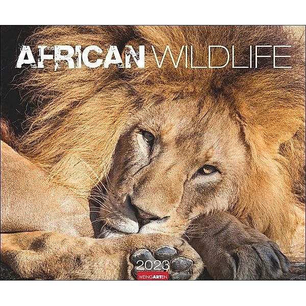 African Wildlife Kalender 2023. Die Tierwelt Afrikas in atemberaubenden Fotos festgehalten für einen großen Wandkalender