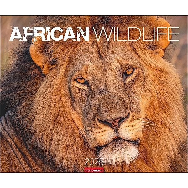 African Wildlife Kalender 2025