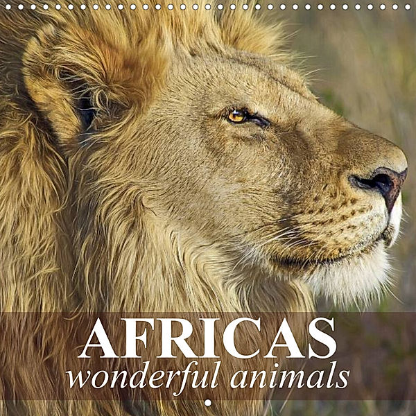 Africas wonderful animals (Wall Calendar 2023 300 × 300 mm Square), Elisabeth Stanzer