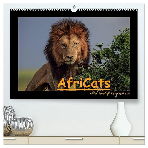 AfriCats (hochwertiger Premium Wandkalender 2024 DIN A2 quer), Kunstdruck in Hochglanz, Harald Pieta