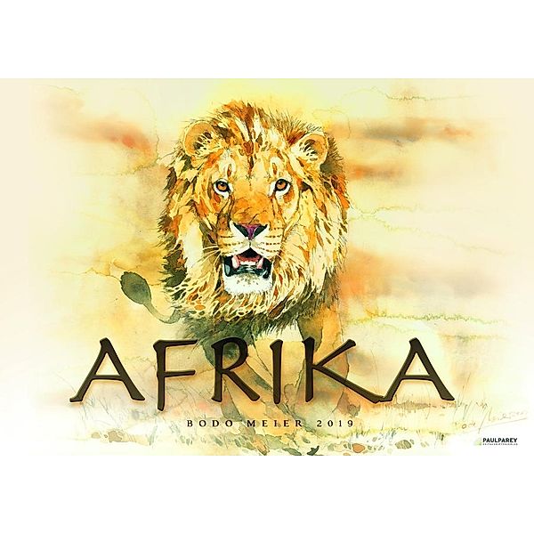 Afrika 2019, Bodo Meier