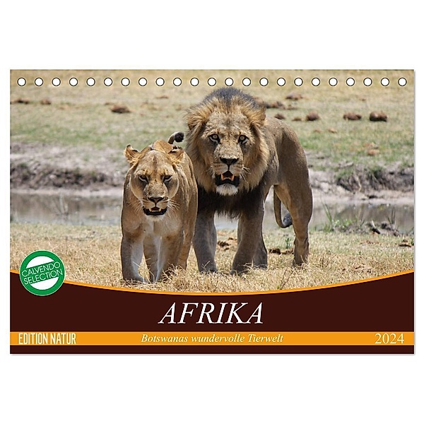 Afrika. Botswanas wundervolle Tierwelt (Tischkalender 2024 DIN A5 quer), CALVENDO Monatskalender, Elisabeth Stanzer