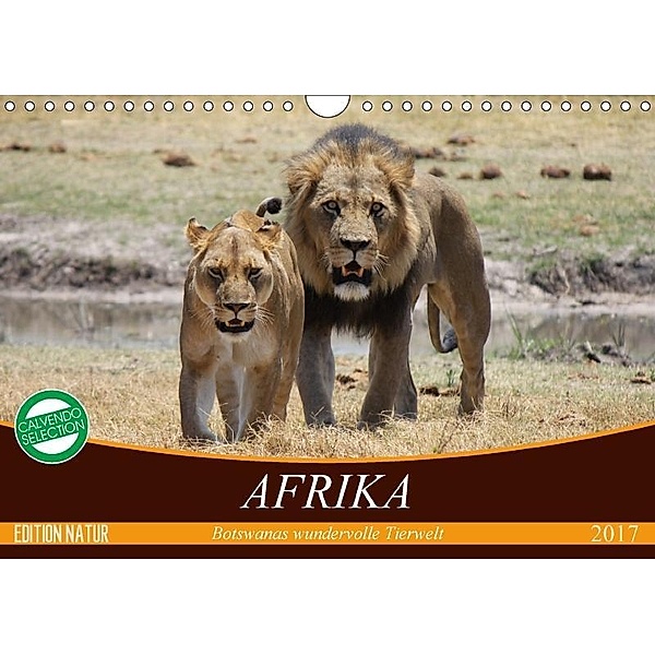 Afrika. Botswanas wundervolle Tierwelt (Wandkalender 2017 DIN A4 quer), Elisabeth Stanzer