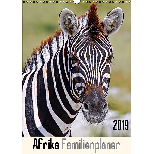 Afrika Familienplaner (Wandkalender 2019 DIN A3 hoch), Wibke Woyke