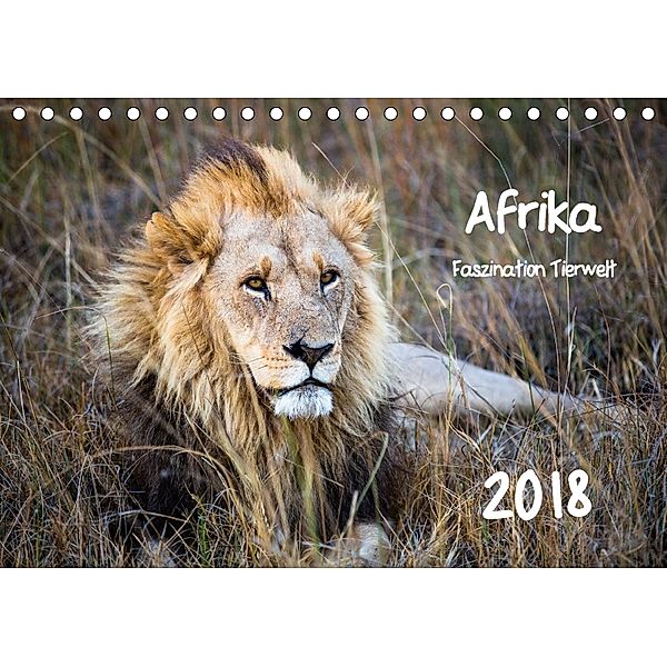 Afrika - Faszination Tierwelt (Tischkalender 2018 DIN A5 quer) Dieser erfolgreiche Kalender wurde dieses Jahr mit gleich, Horst Bentlage