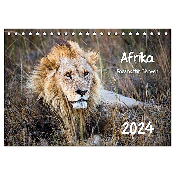 Afrika - Faszination Tierwelt (Tischkalender 2024 DIN A5 quer), CALVENDO Monatskalender, Horst Bentlage